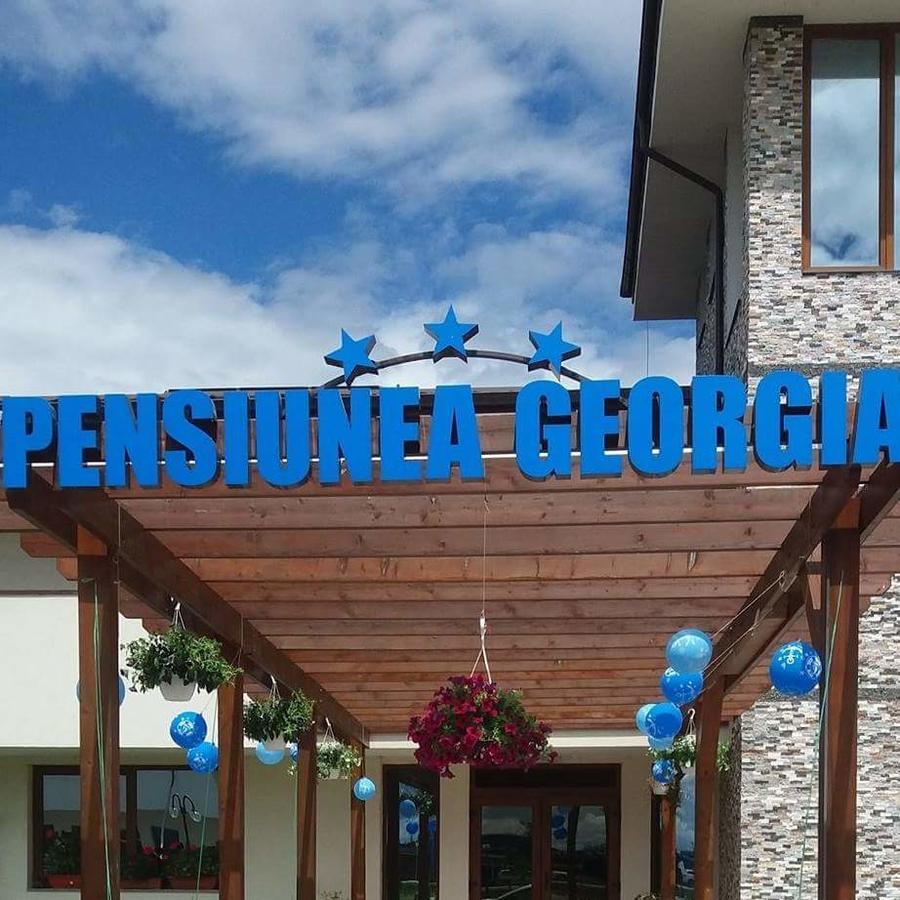 Pensiunea Georgia Lunguleţul Εξωτερικό φωτογραφία